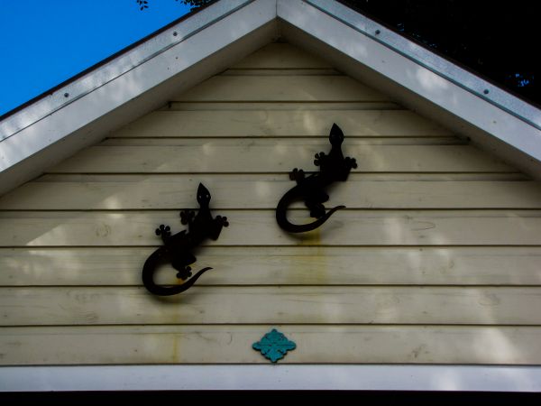 Cost of Shiplap Siding Installation in Doylestown